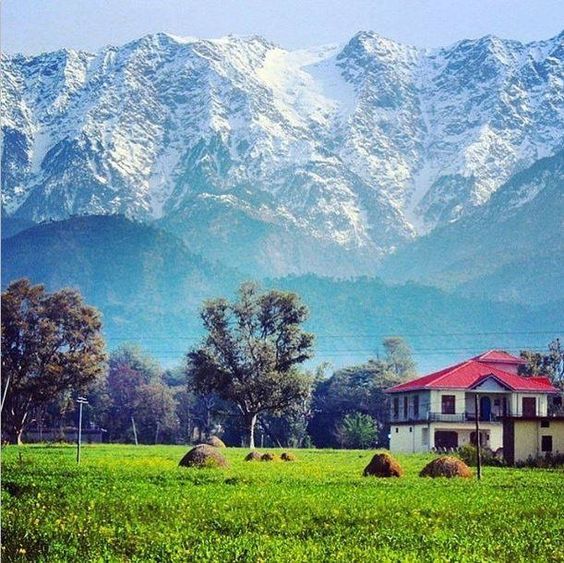 Palampur